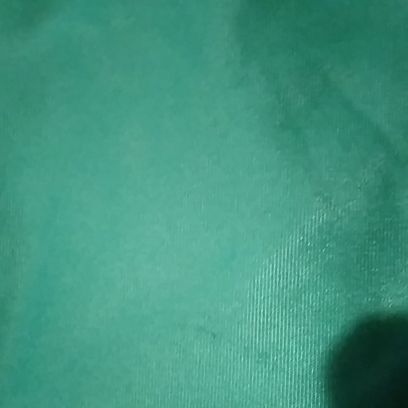 Chicago Cubs Green Jacket Size Large - Picture 7 of 11